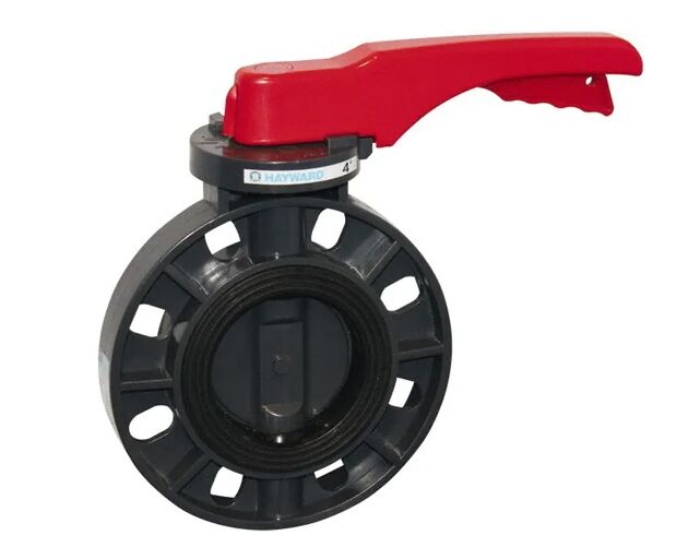 Butterfly Ballhayward